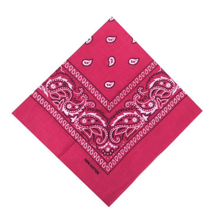 Classic Paisley Bandana Scarf