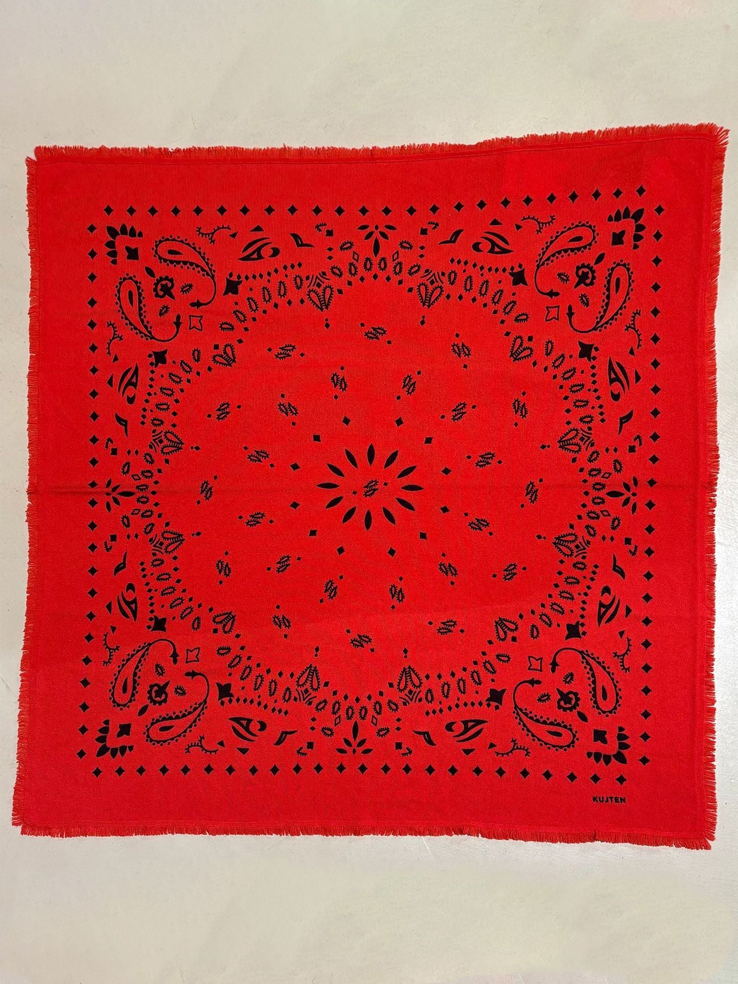 Paisley Print Knit Bandana